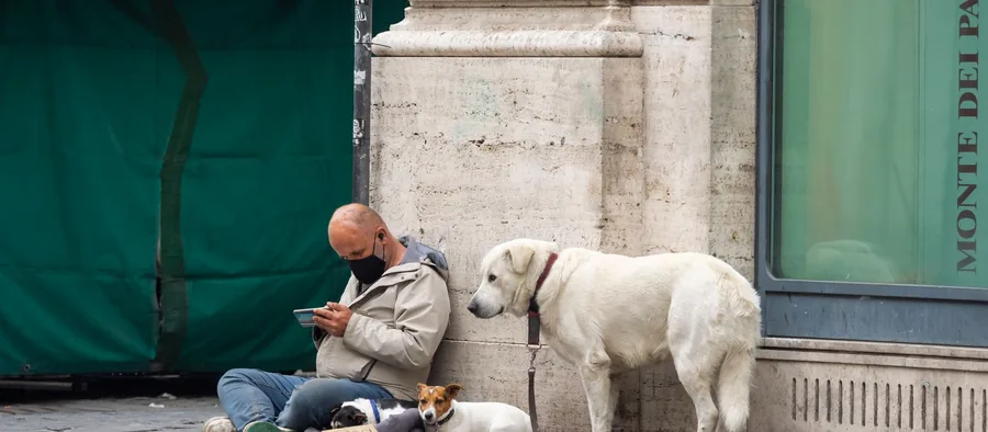 Chien assis à côté d'un grand sac de croquettes