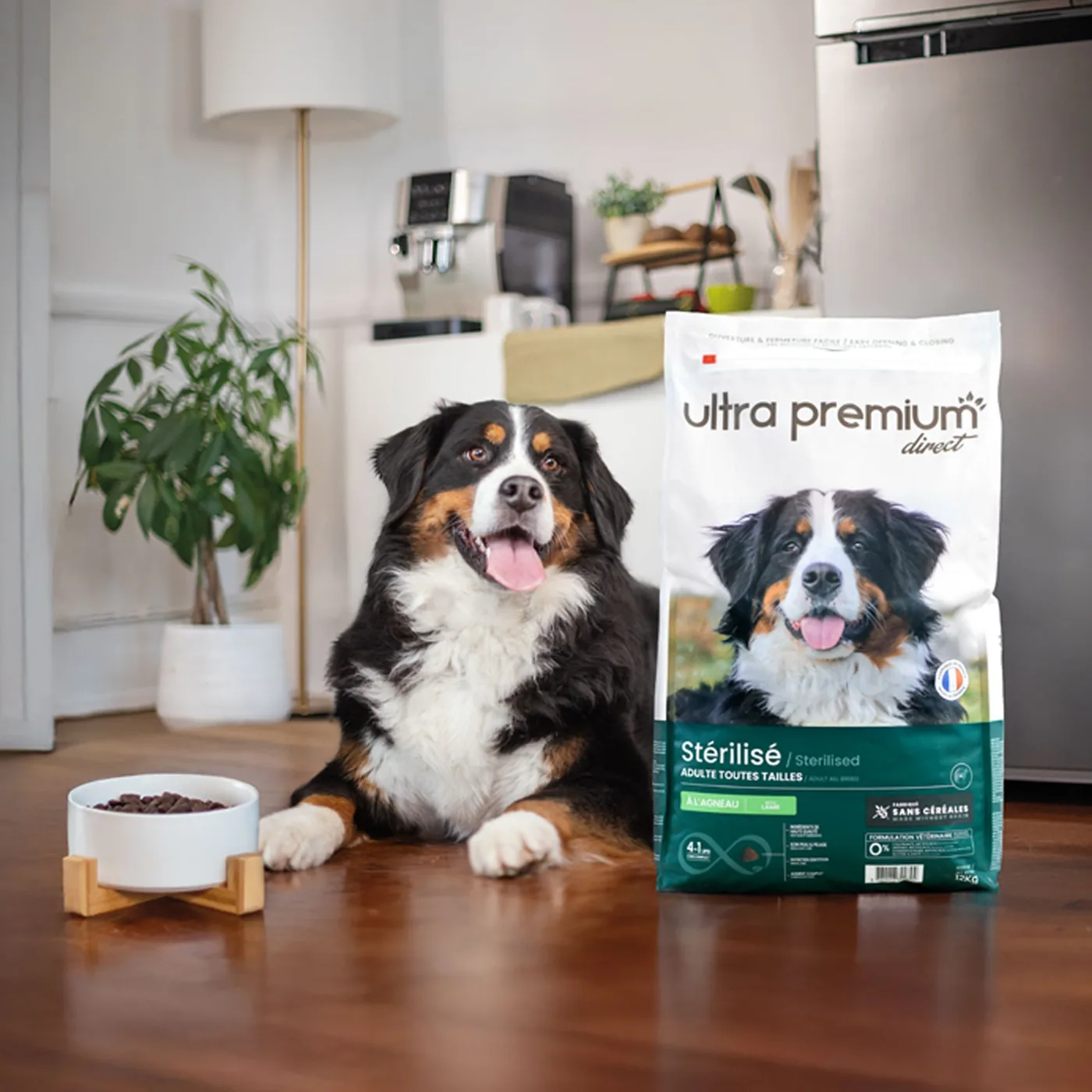 Un chien couché à côté d'un sac de croquettes Ultra Premium Direct et d'une gamelle