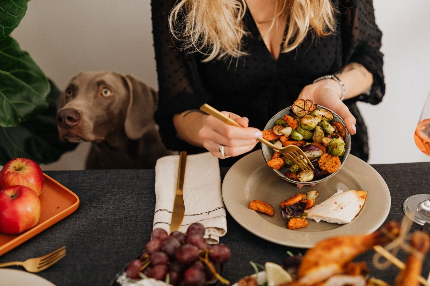 Alimentation du chien : le guide pour bien le nourrir