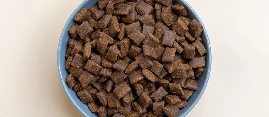 Gamelle de croquettes sans céréales pour chien
