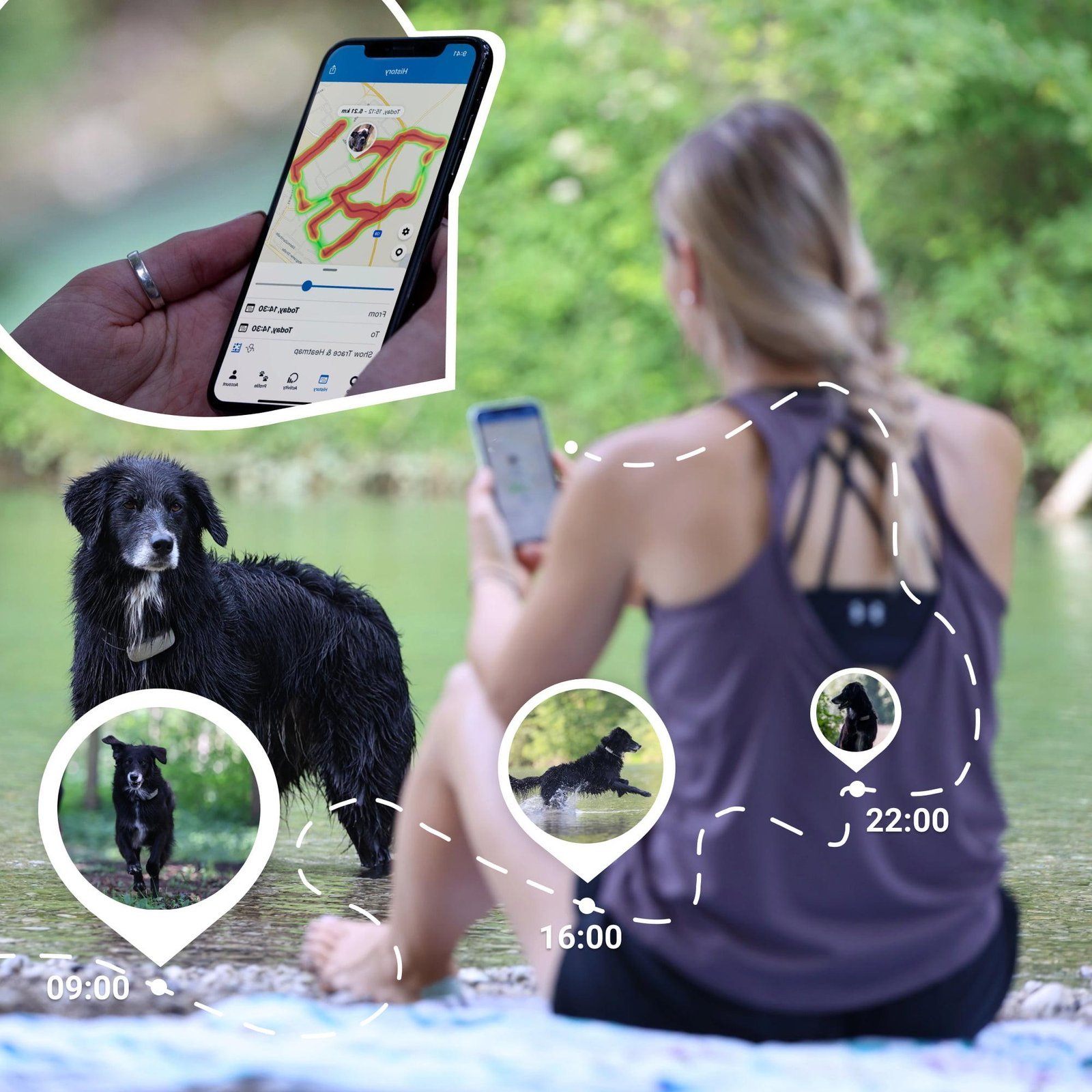 Tractive : Test et Avis de ce collier GPS pour chien